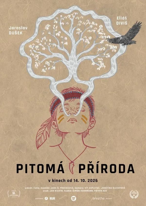 Stylized illustration of a person with a tree emerging from their head, featuring a flying eagle.