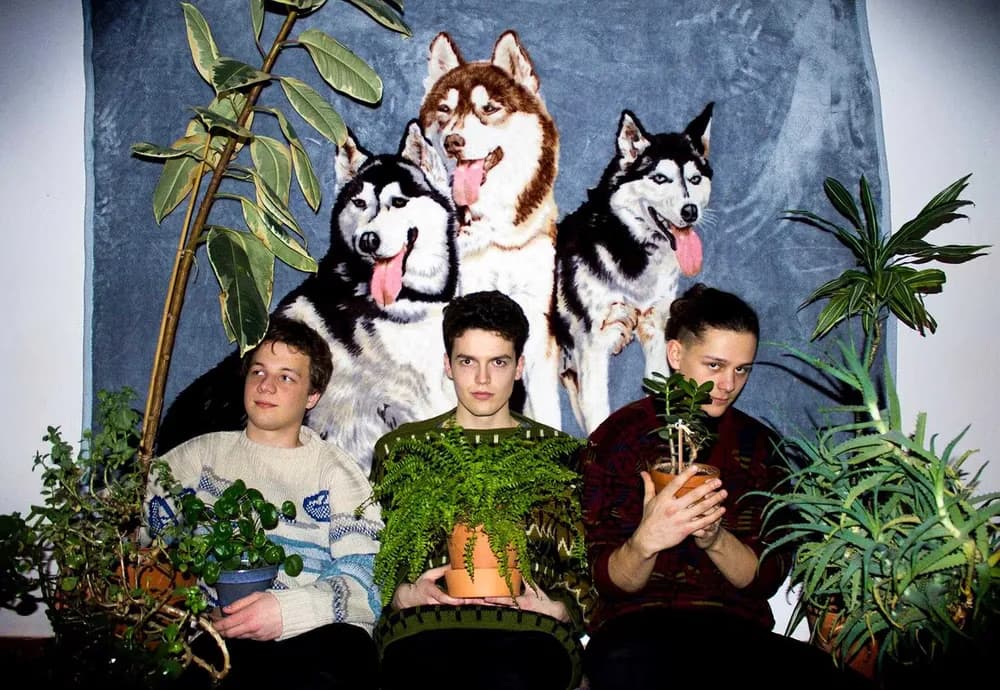 Three people holding potted plants pose in front of a backdrop depicting three Siberian huskies.