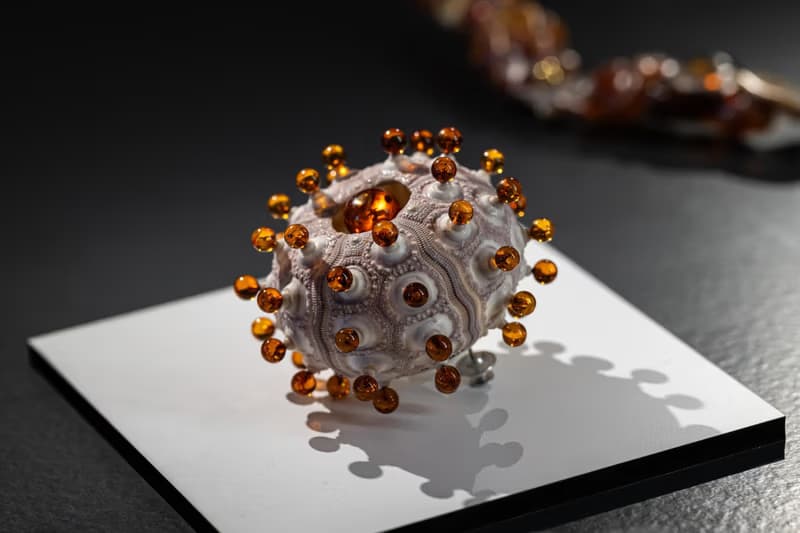 Exhibition: UNEXPECTED AMBER