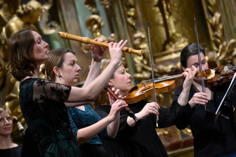 LÍPA MUSICA / JUBILATE DEO