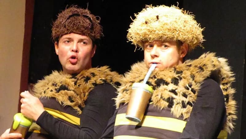 WINTER ADVENTURES OF THE BEE BEARS