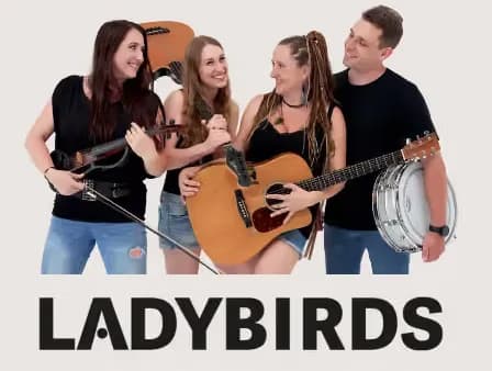 Four band members stand together holding musical instruments below the word LADYBIRDS.