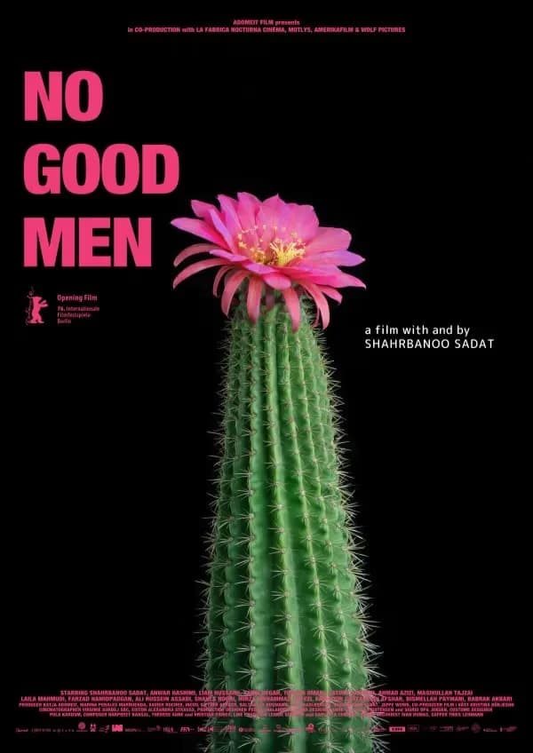 A pink cactus flower blooms atop a green cactus against a stark black background.