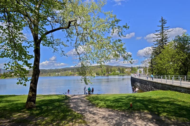 Vanished Mšeno
