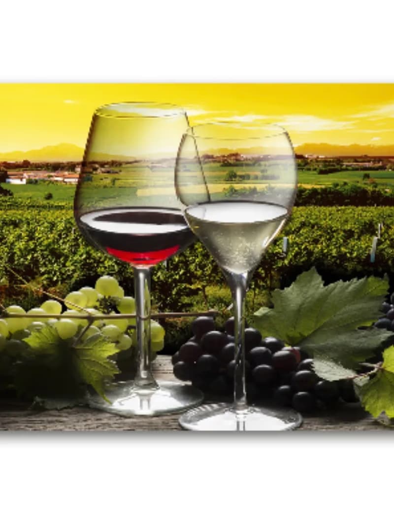 ITALY, FRANCE Wine Tasting