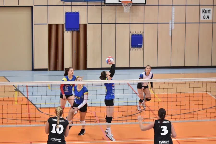 Women play a competitive volleyball match in an indoor sports hall with wooden walls.