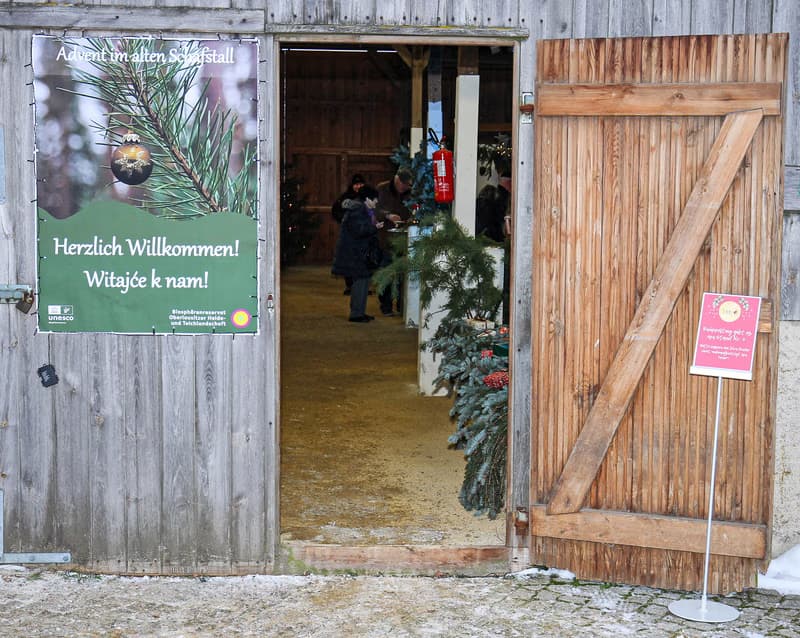 Advent in the Old Sheep Barn