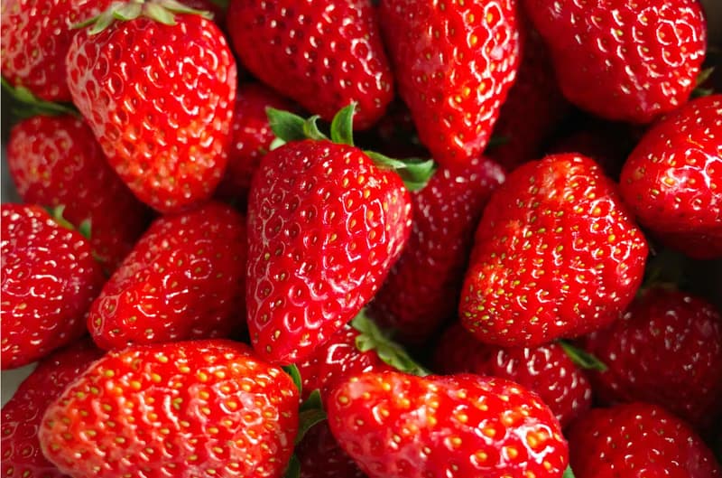 Regional - seasonal: Berry fruit cultivation Eichgraben