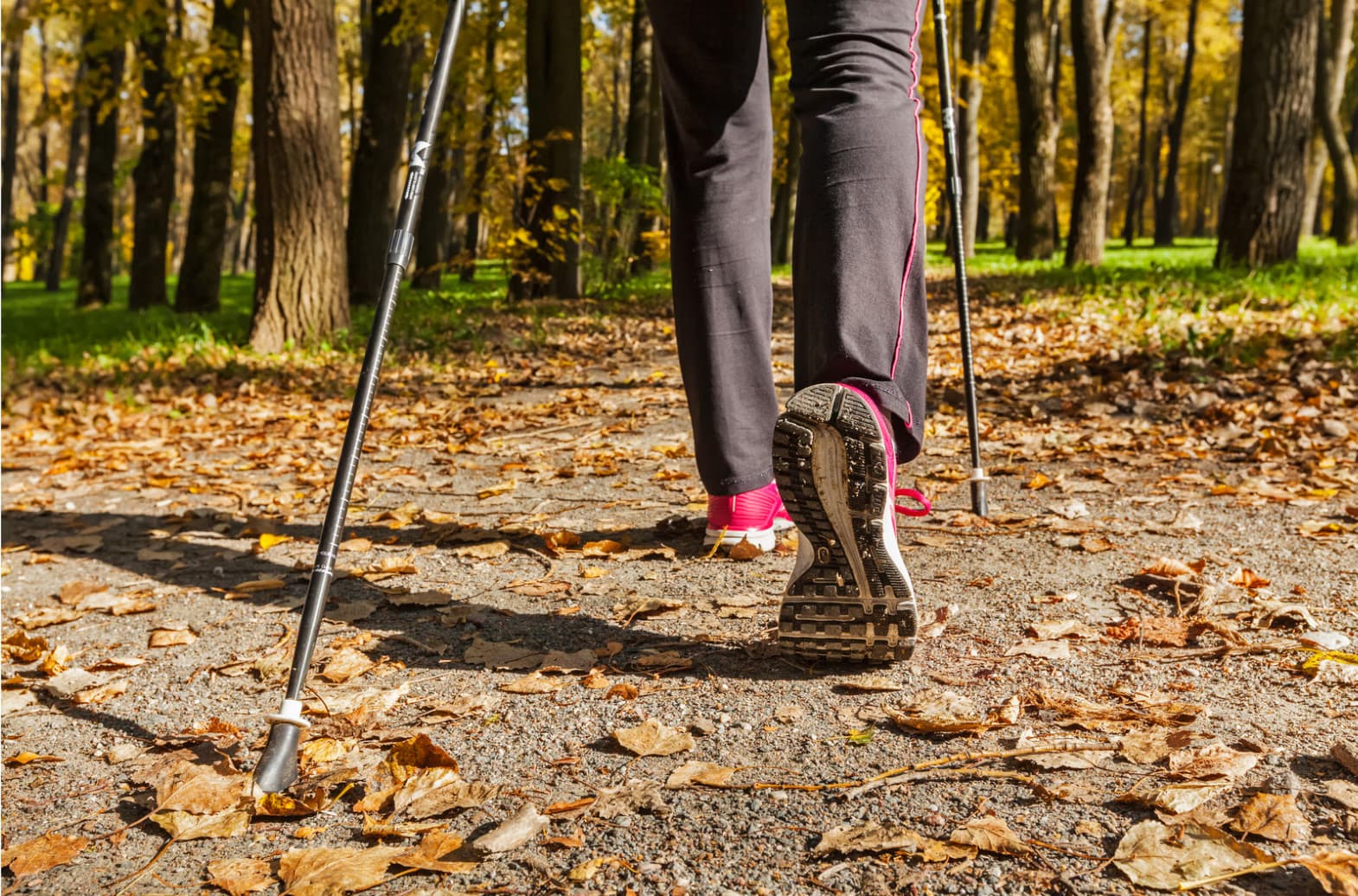 Person walking on a forest path covered with autumn leaves using trekking poles.
