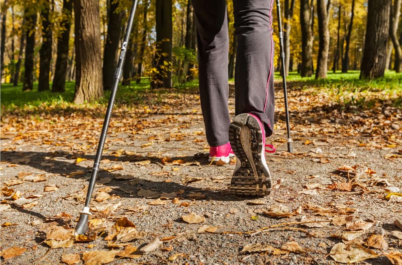 Nordic Walking – Fit and active at Olbersdorfer See