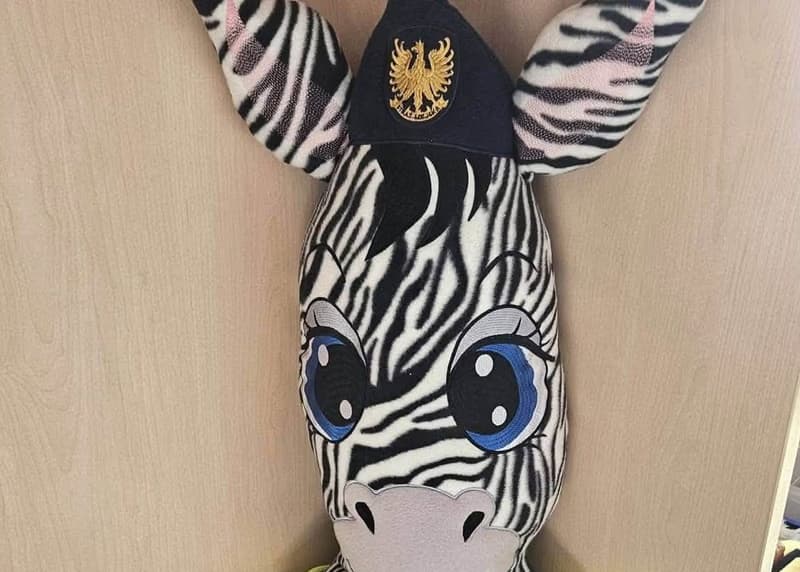 Porajówka pro Tymka