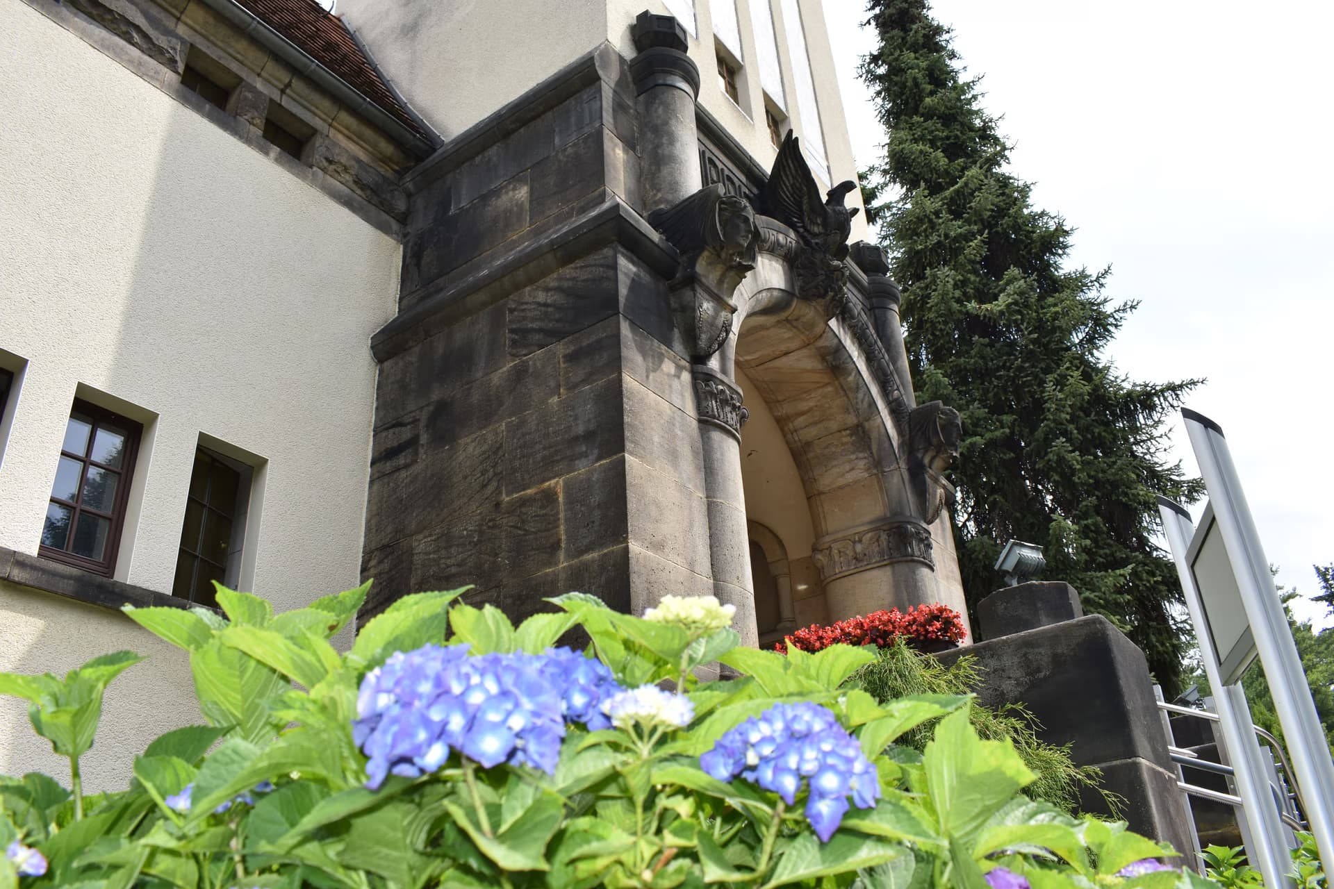Blue hydrangea flowers bloom in front of the ornate stone entrance of a historic building.