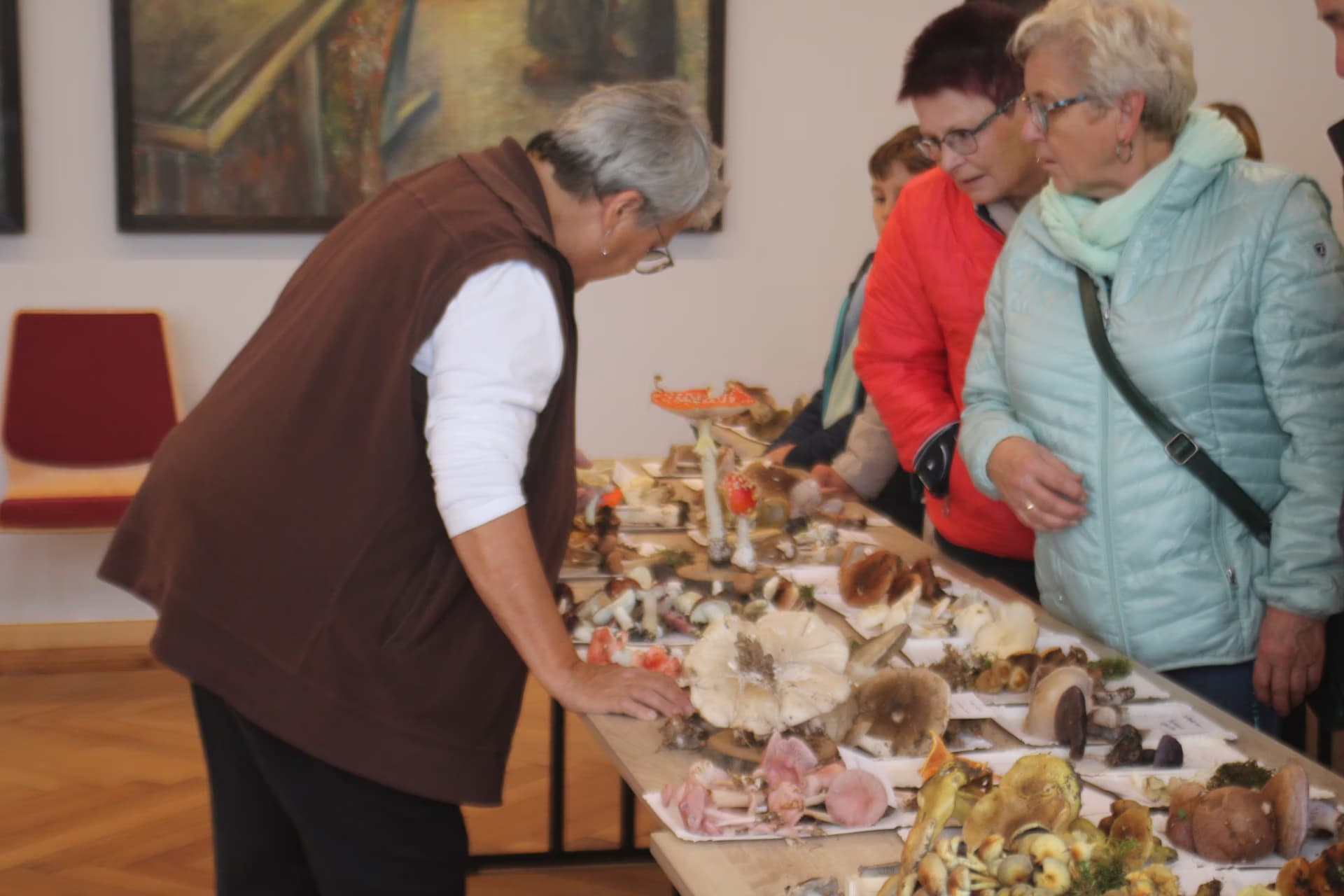 People gathered at a table examining a diverse exhibition of wild mushrooms in a gallery setting.