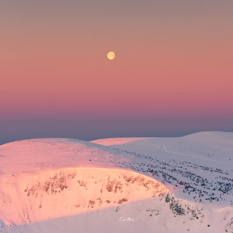 Colors of the Karkonosze Mountains – Photography exhibition by Tomasz Mucha