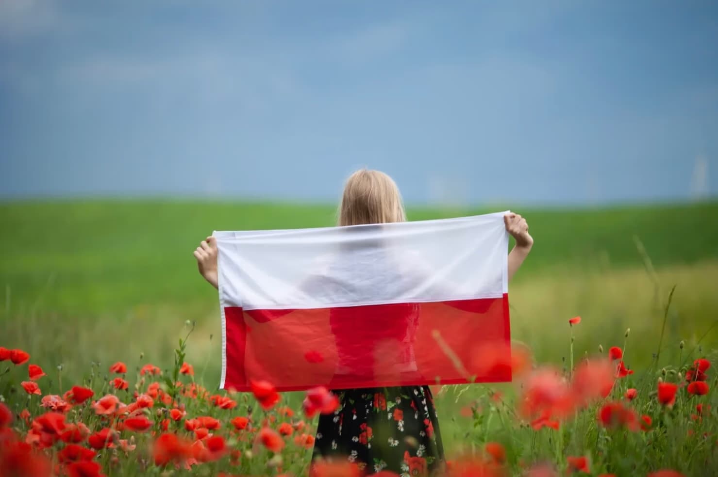 A woman seen from behind stands in a poppy field holding a Polish flag.