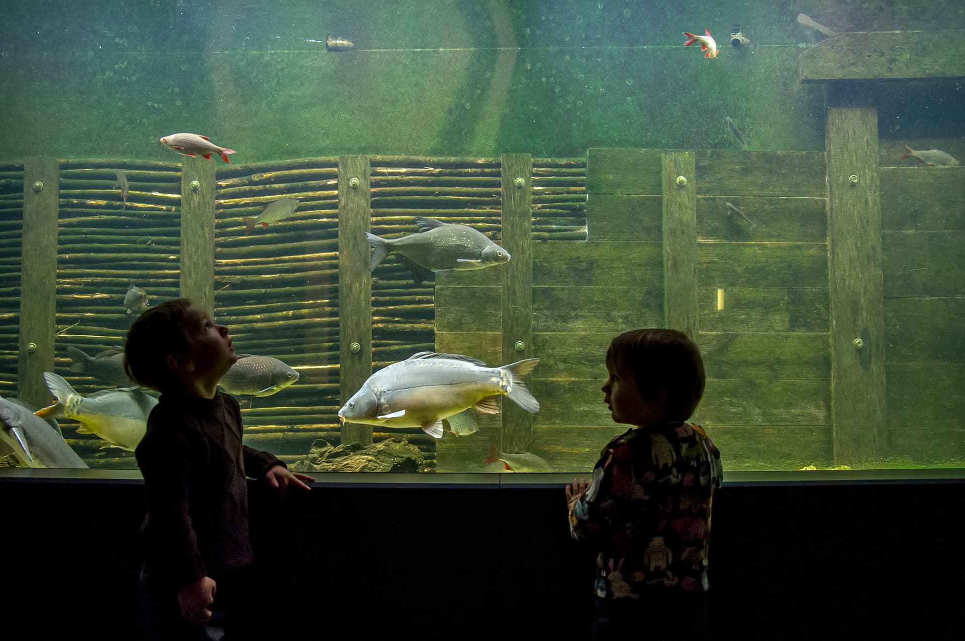 Seite 57 Aquarium Karsten Nitsch