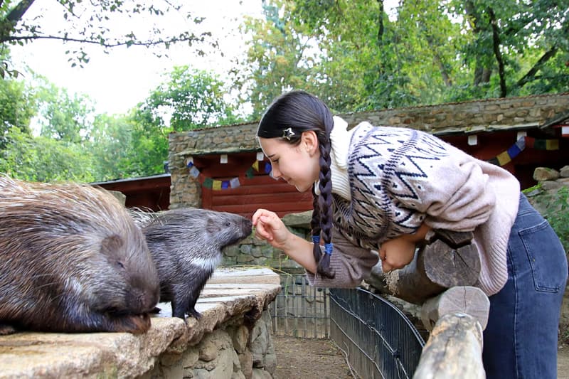Jesienne ferie w Zoo Görlitz