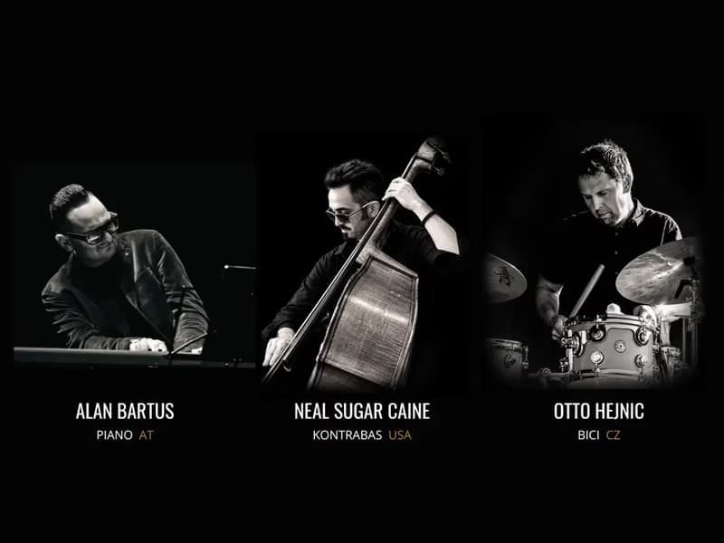 OTTO HEJNIC TRIO (USA/CZ)
