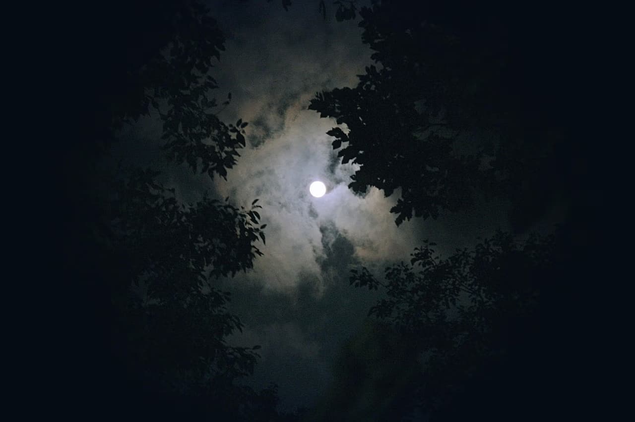 A bright full moon shines through dark, cloudy night skies and silhouetted tree branches.