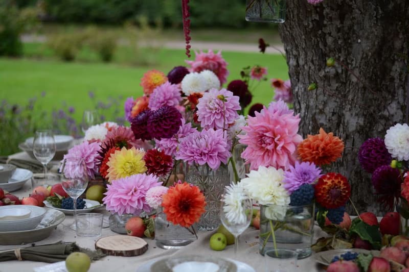Garden Party at the Start of the School Year
