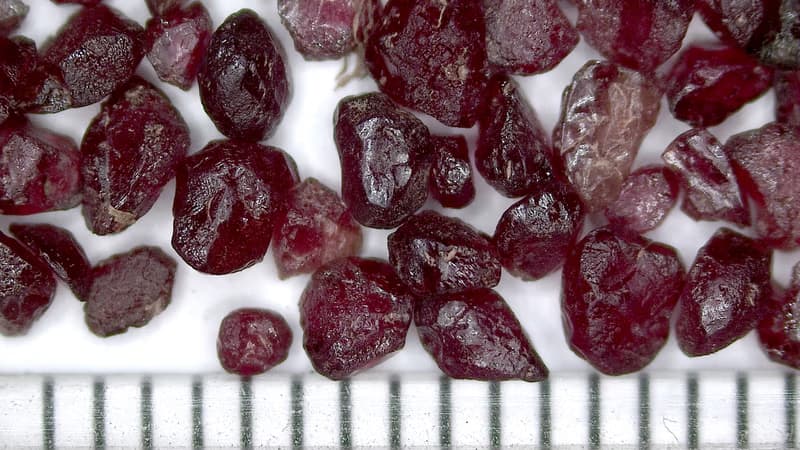 Open House at Granát Turnov