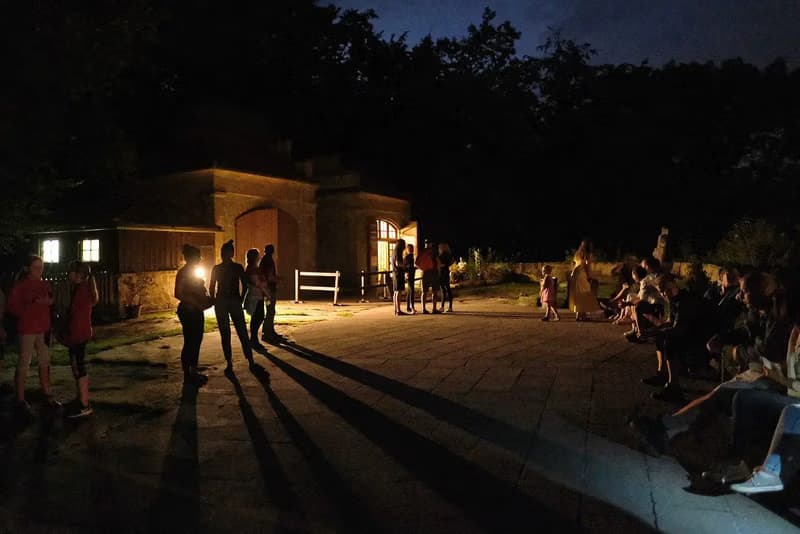 Castle Night