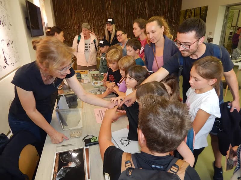Bat Night in the Bohemian Paradise Nature House