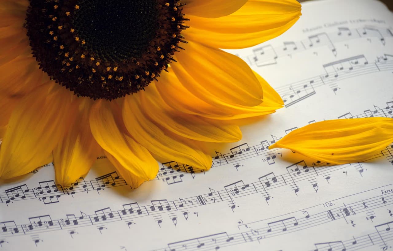 A bright yellow sunflower lies on top of pages of sheet music.