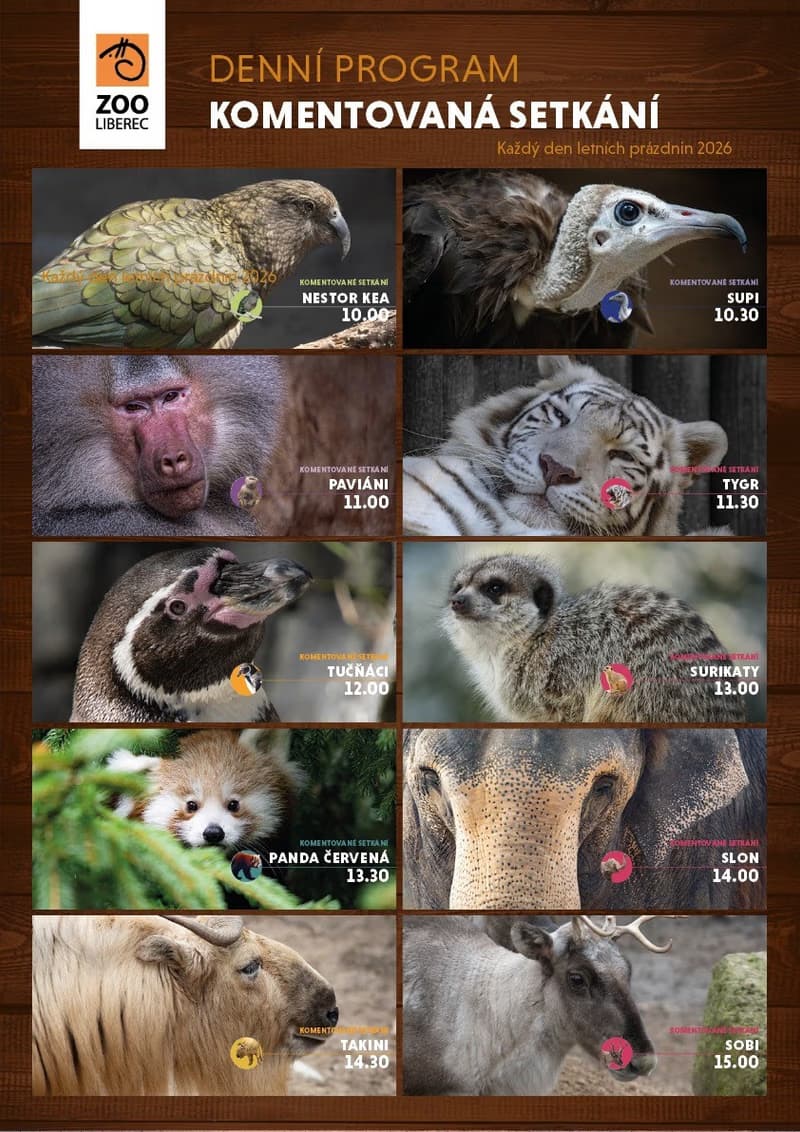 Guided encounters with the animals