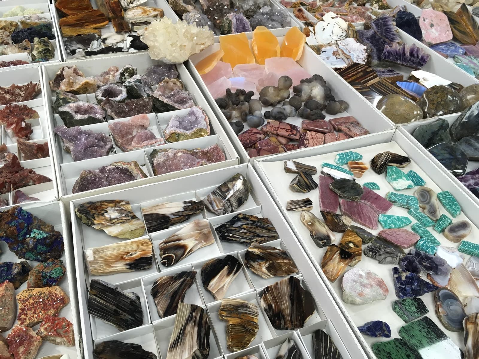 Many white trays display a variety of colorful raw and polished gemstones and minerals.