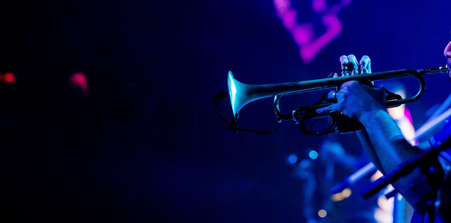 Musician plays a brass trumpet on stage under dark blue concert lighting.