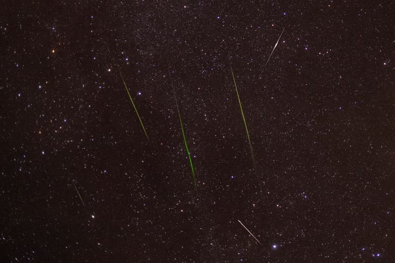 Perseids Night and Night Gondola Ride