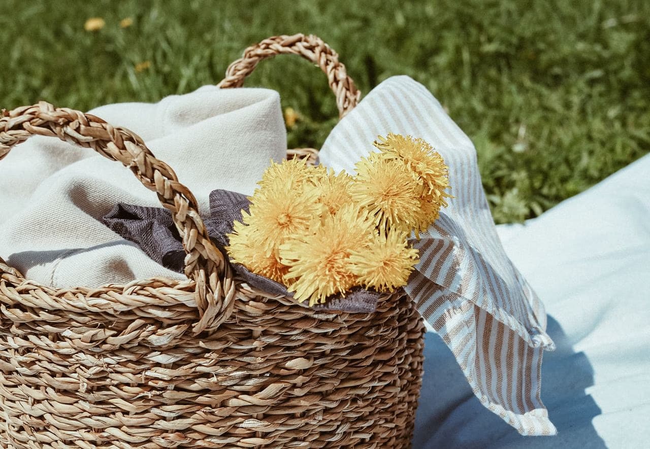 Woven picnic basket filled with yellow dandelion flowers and linen cloth on green grass.