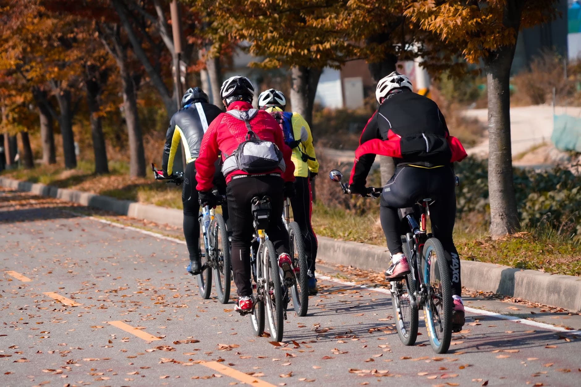 Four cyclists ride in a line along an asphalt path lined with autumn trees.