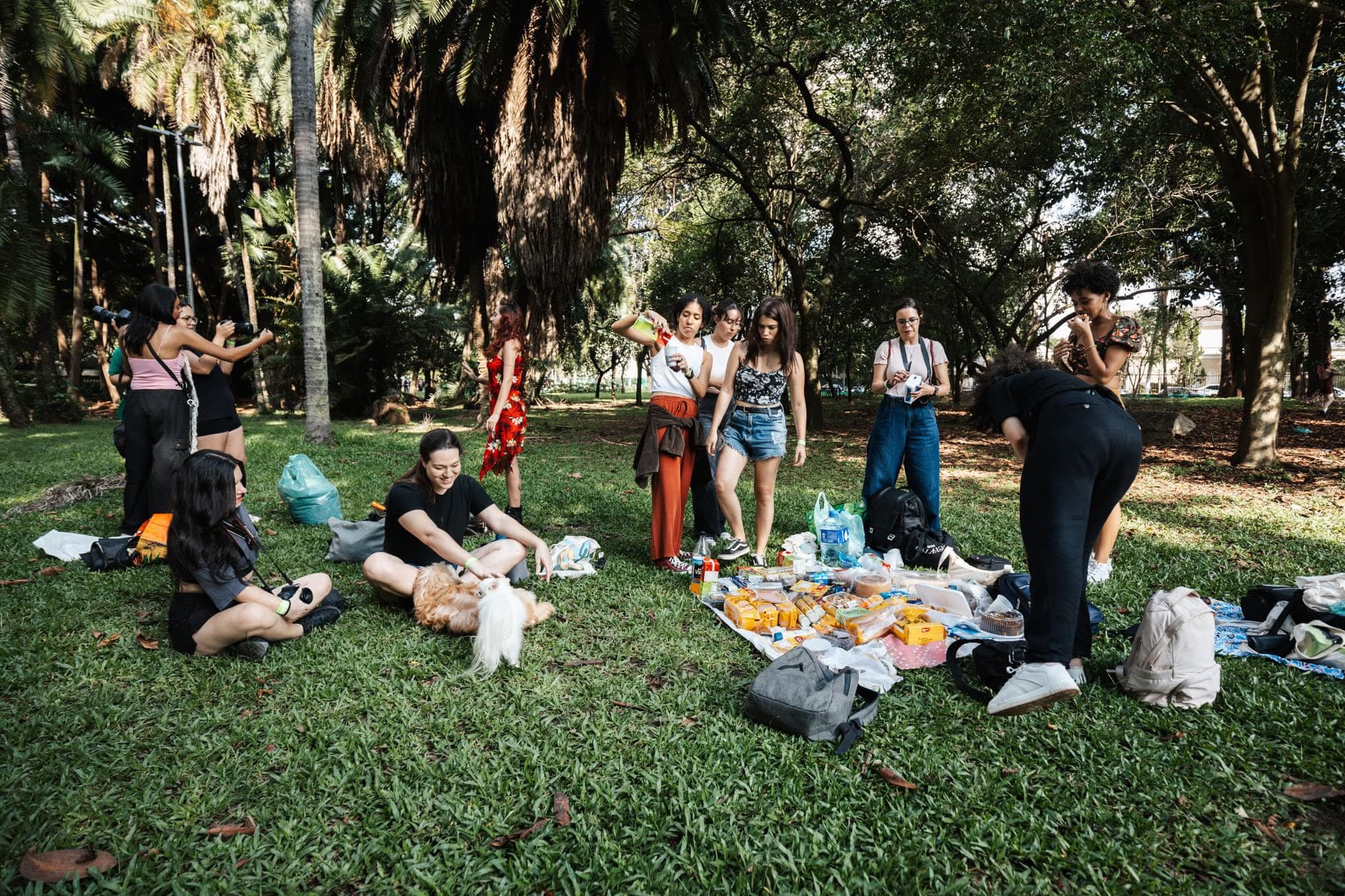 A diverse group of young adults enjoys a sunny picnic together in a grassy park.