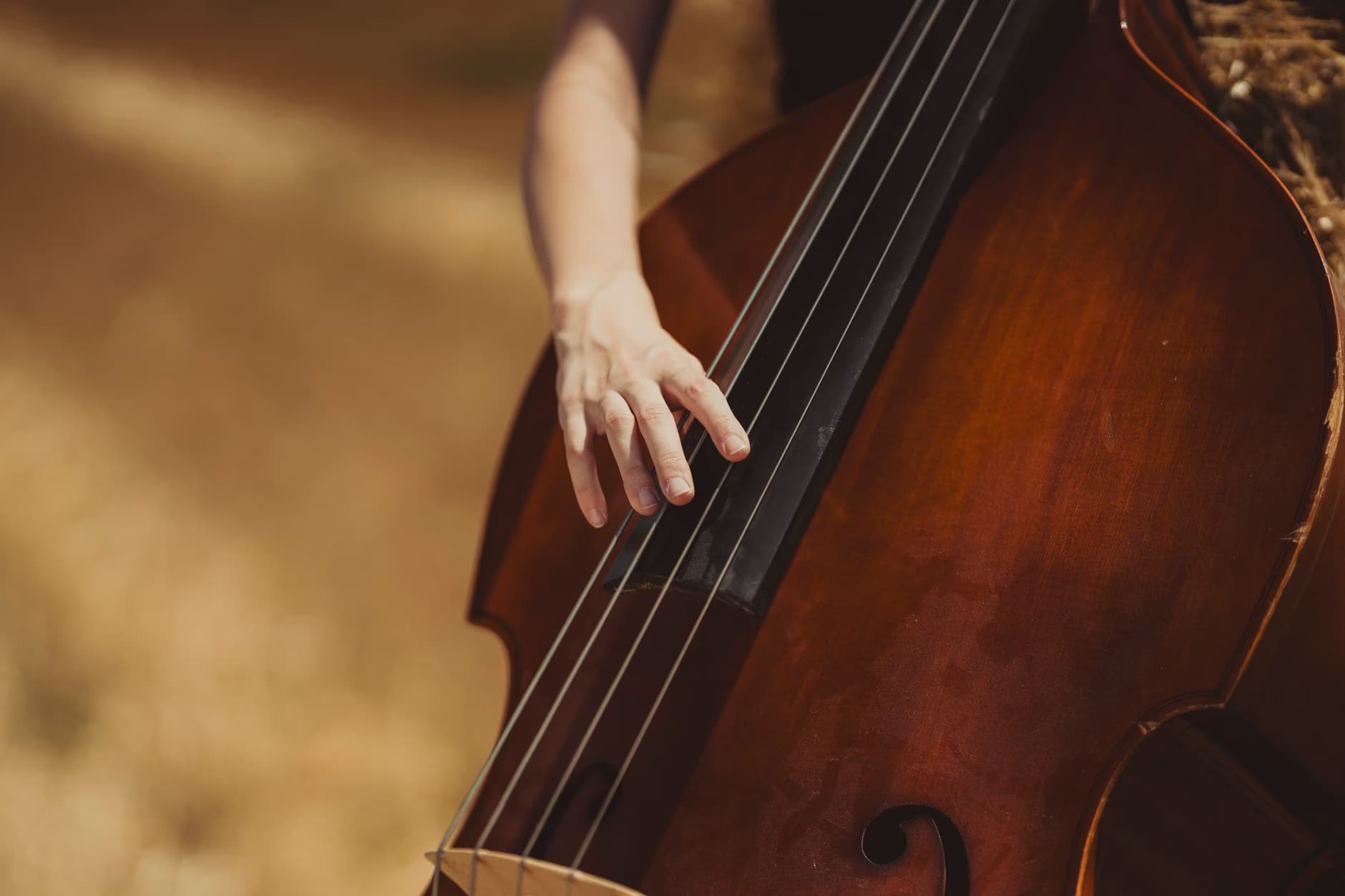 Nahaufnahme einer Hand, die auf den Saiten eines hölzernen Kontrabasses spielt.