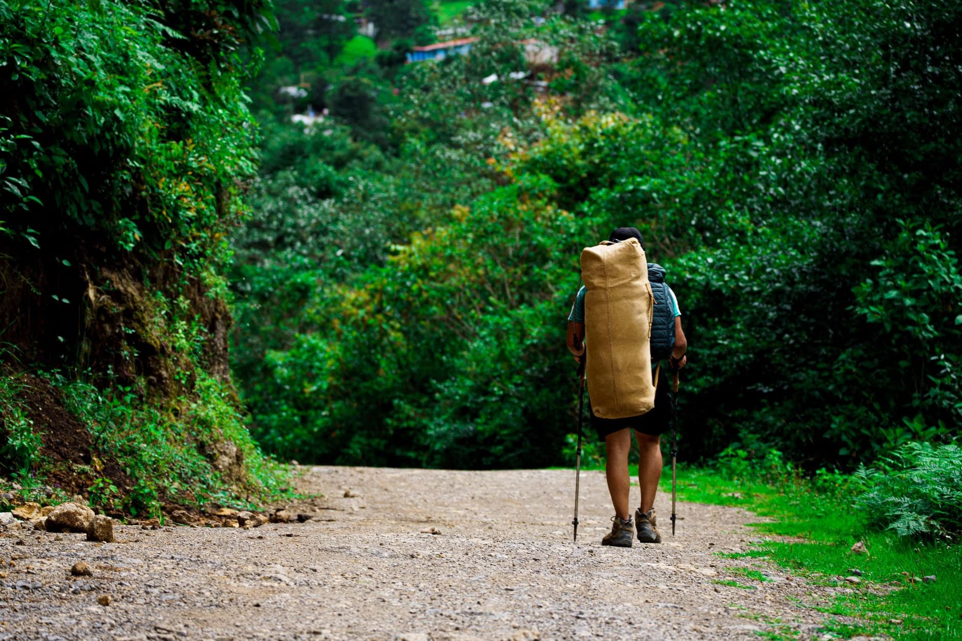 A hiker with a large backpack walks along a dusty trail surrounded by lush green trees.