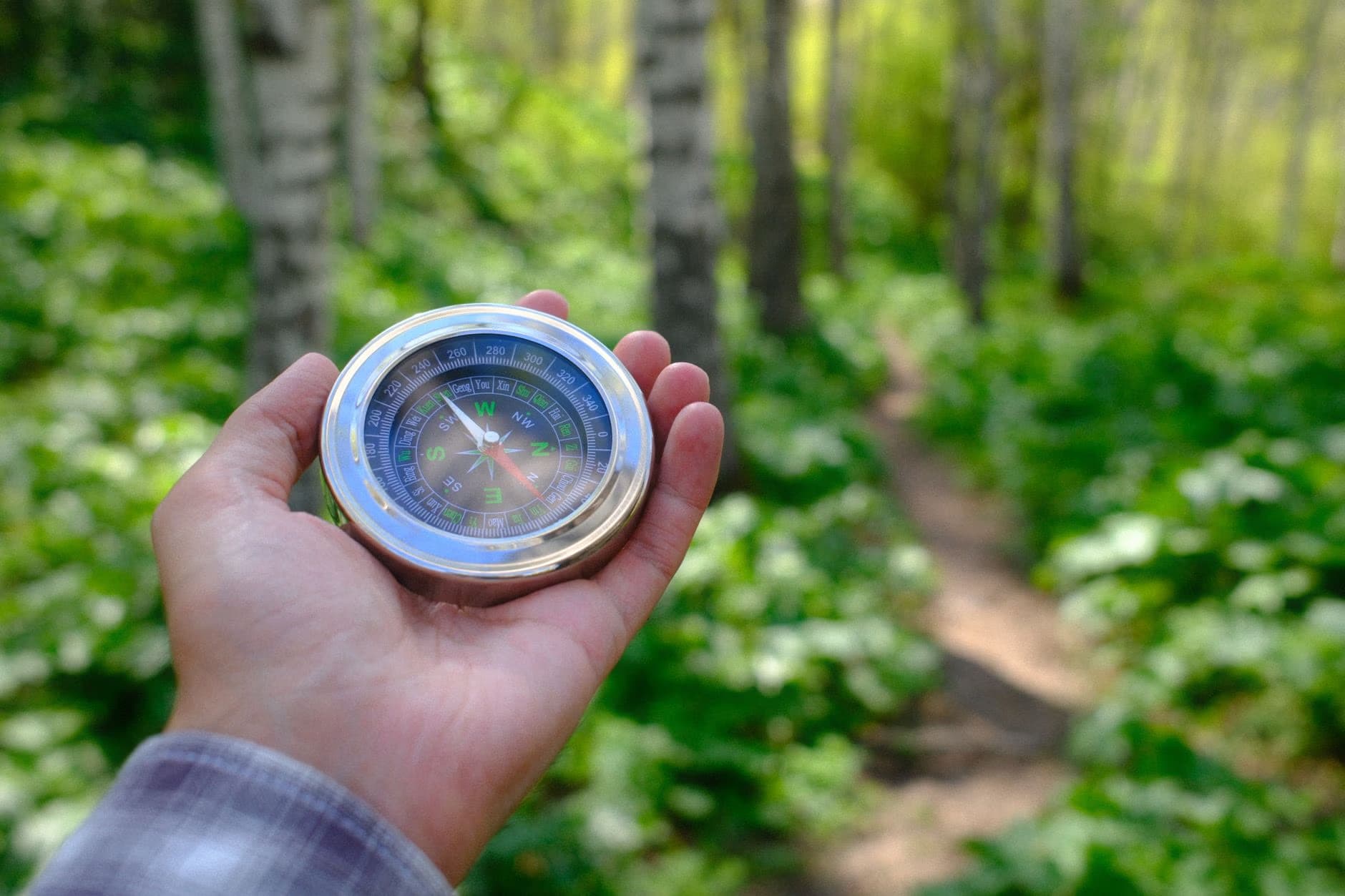 A hand holds a silver compass against a blurred background of a forest trail.