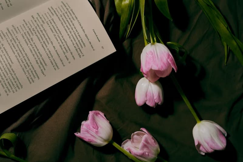 Book Presentation: The Second Haiku Book