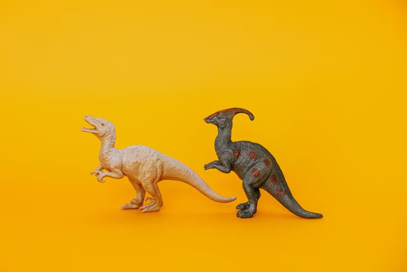 Reise mit Dinosaurier-Babys