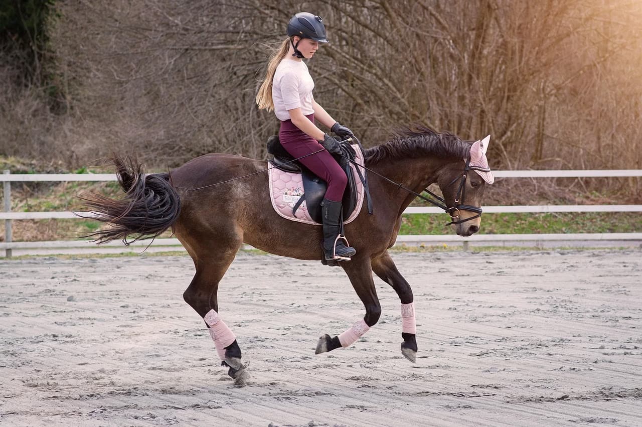 A young woman wearing a riding helmet and pink accessories rides a brown horse in an outdoor arena.