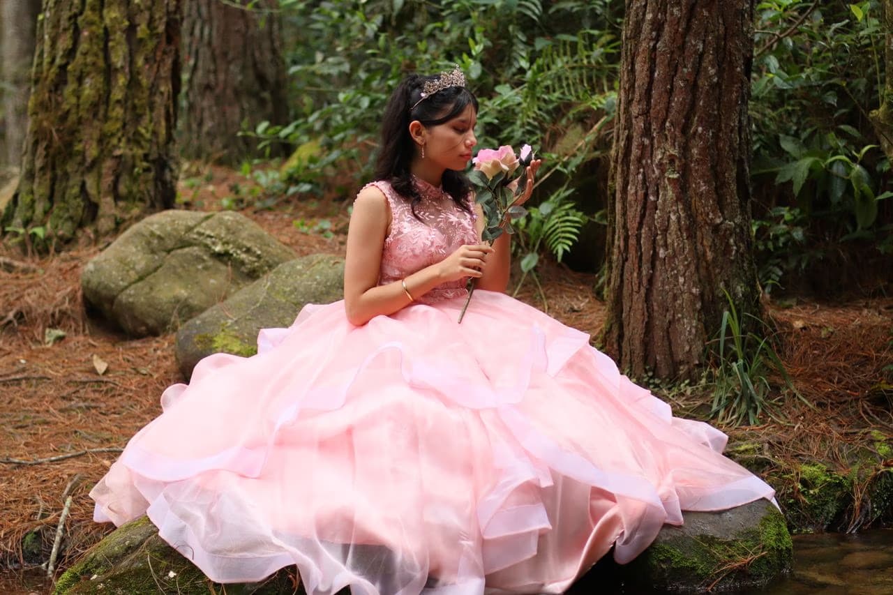 A young woman in a puffy pink ballgown sits on a forest rock holding a single rose.