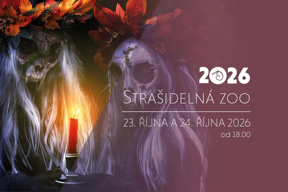 Two masked figures with flower crowns hold glowing red candles in a dark, spooky scene.