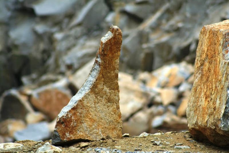 Guided Tour of the Man and Stone Exhibition