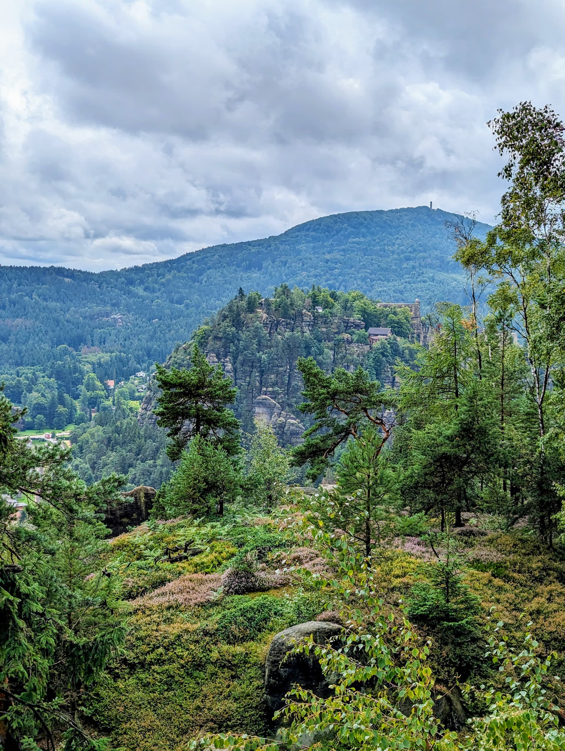 View of a wooded mountain landscape with rocky cliffs under a cloudy sky.
