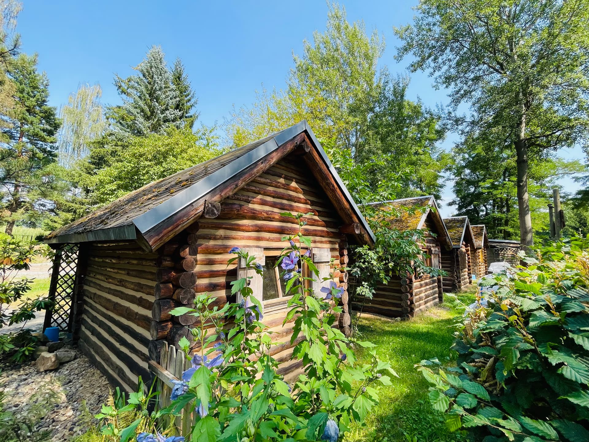 Several rustic wooden log cabins sit in a row among lush green trees and garden plants.