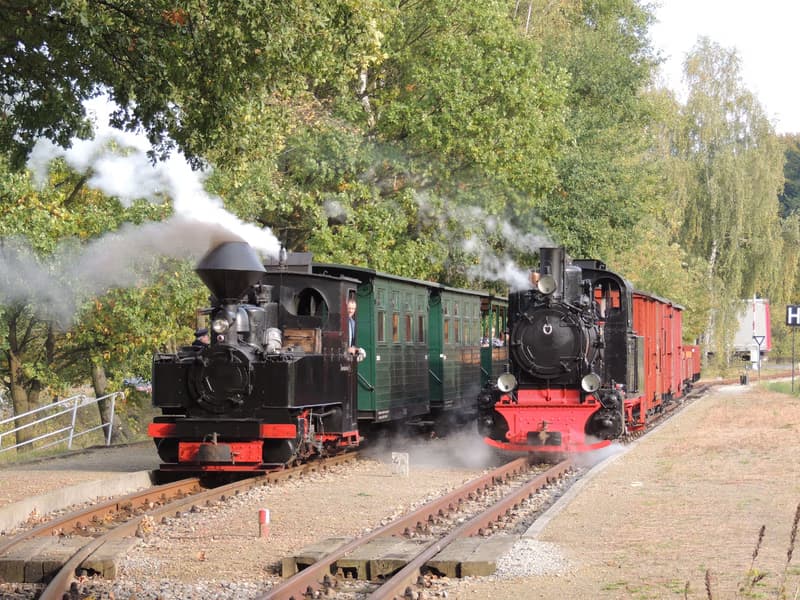 Halloween-Fahrten Waldeisenbahn Bad Muskau