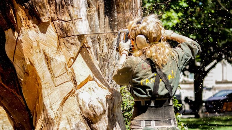 Woodcarving in Česká Lípa