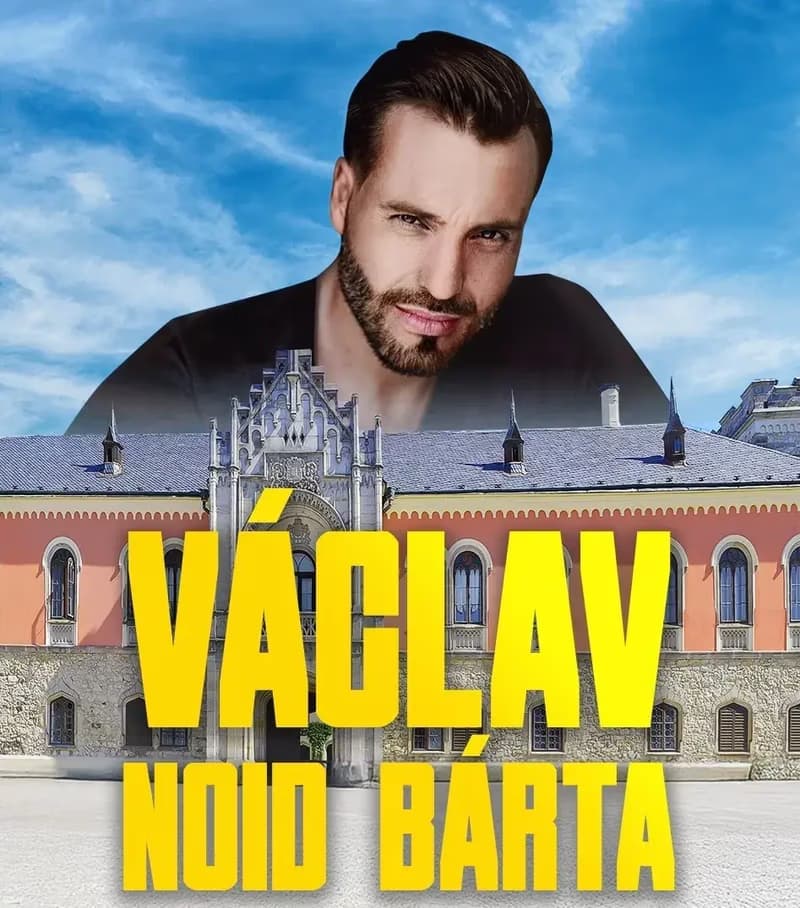 Concert - Václav Noid Bárta