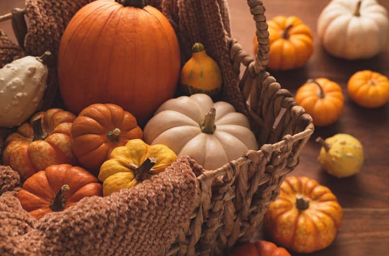 Pumpkin Sunday